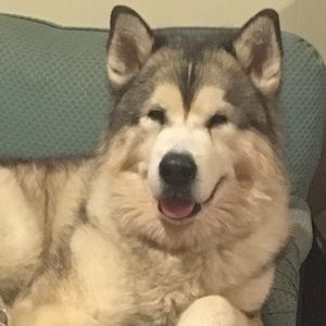 Meet your Posher, Lora